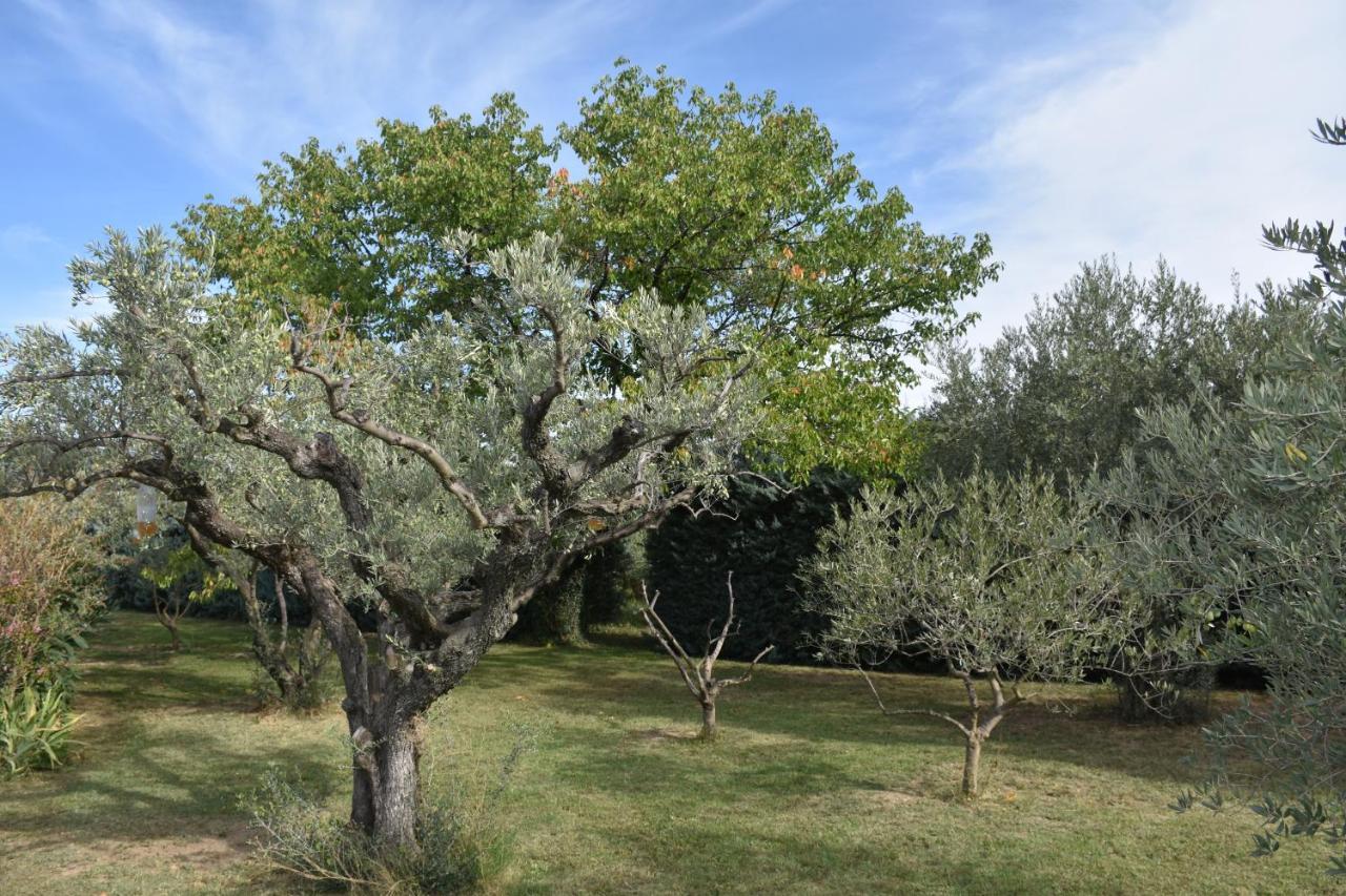 Aux Reves Des Mees Villa Les Mées Dış mekan fotoğraf